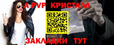 стаф Новокубанск