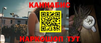 стаф Новокубанск