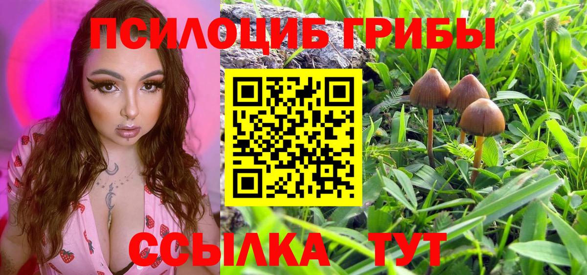 Барнаул  Галлюциногенные грибы MAGIC MUSHROOMS  купить закладку  Вход с VPN  Галлюциногенные грибы мухоморы 